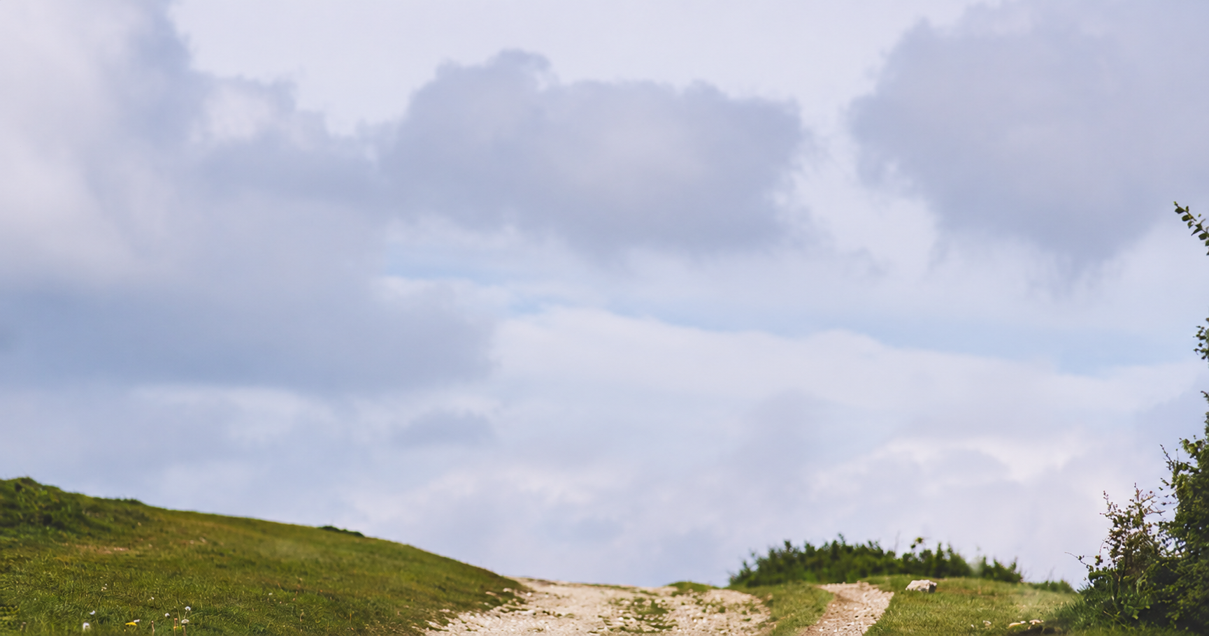 What makes a triathlete?
