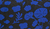 Storm Blue
