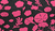 Wild Pink